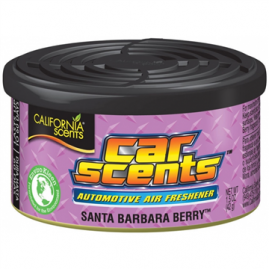 CALIFORNIA SCENTS CAR Lesné ovocie - Santa Barbara Berry 42 G